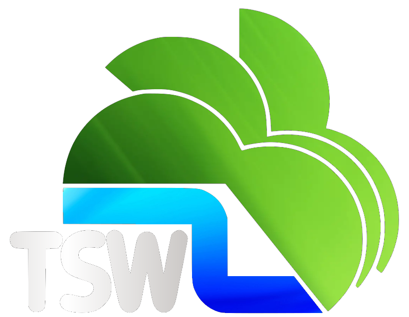 Television south west (TSW) with a 2020's take by GreenstarEmily02 on ...