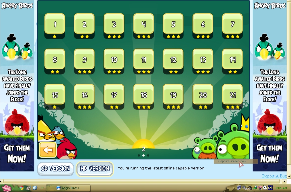 Angry Bird Obsession