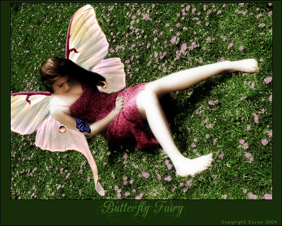 Butterfly Fairy