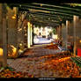 Public Garden HDR