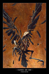 Feathers and Fury by ByronWinton