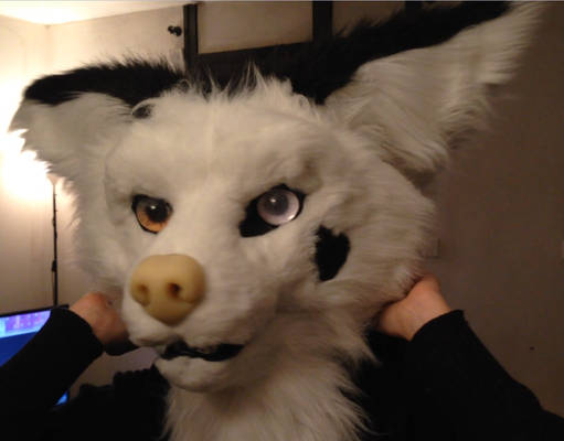 KoreaSajoya Fursuit part 9