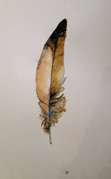 Feather