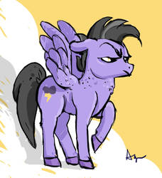 A very angry pony