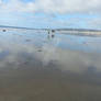 Reflection of the Coastal City