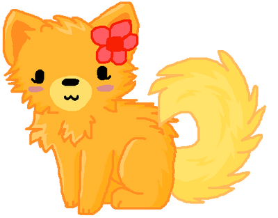 pom pom doge