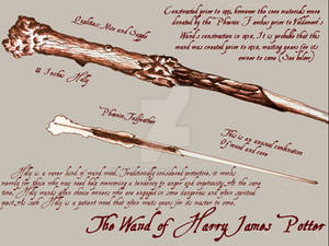 The Wand of Harry Potter - Diagram