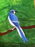 Blue Jay