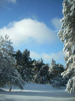 new year blizzard 2