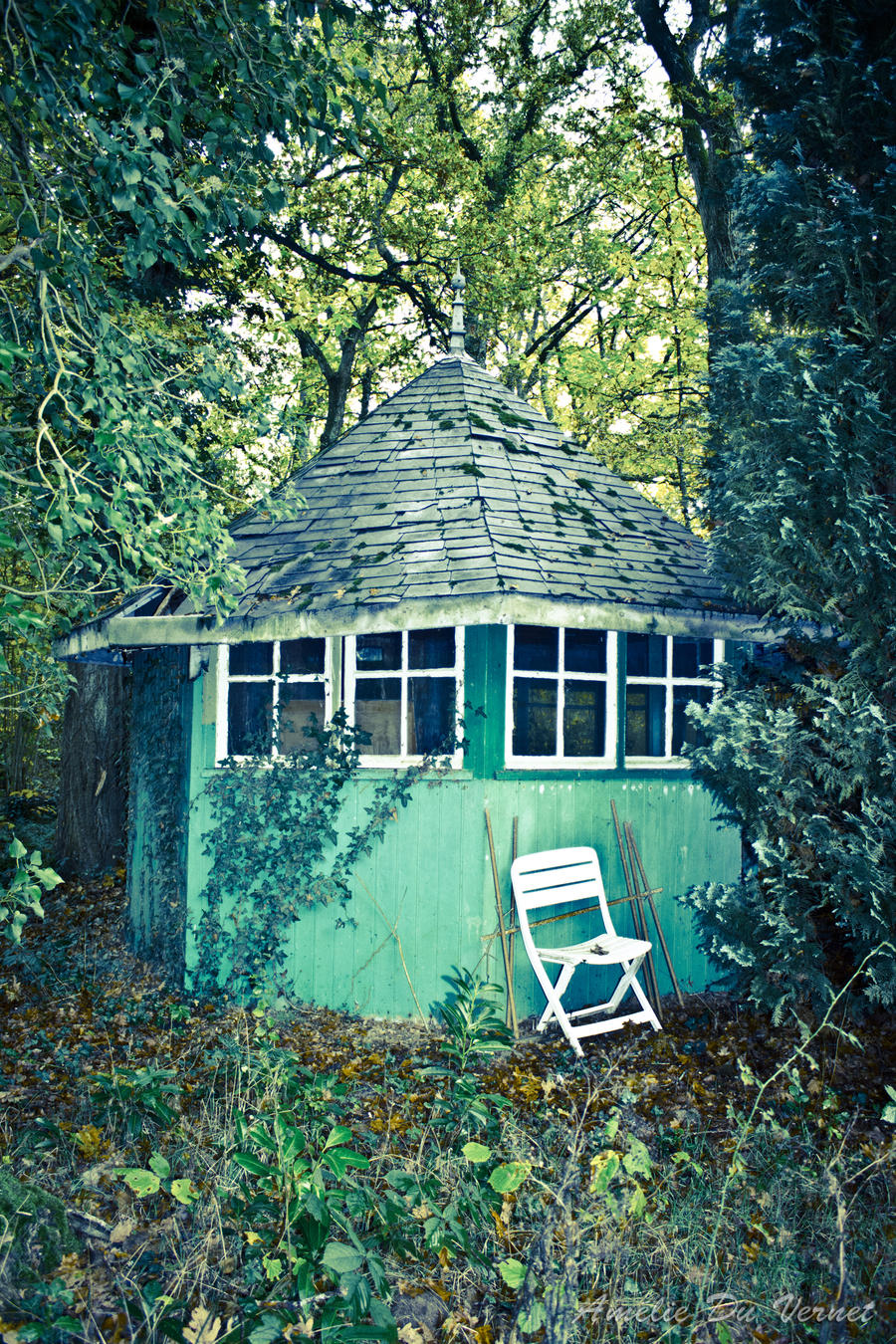 Hut in the woods by adurbex