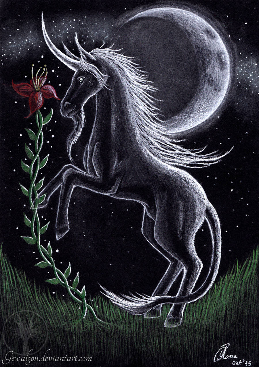 The magic of the Unicorn by Gewalgon