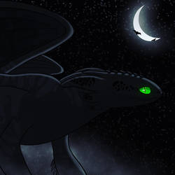 The fury of the Night