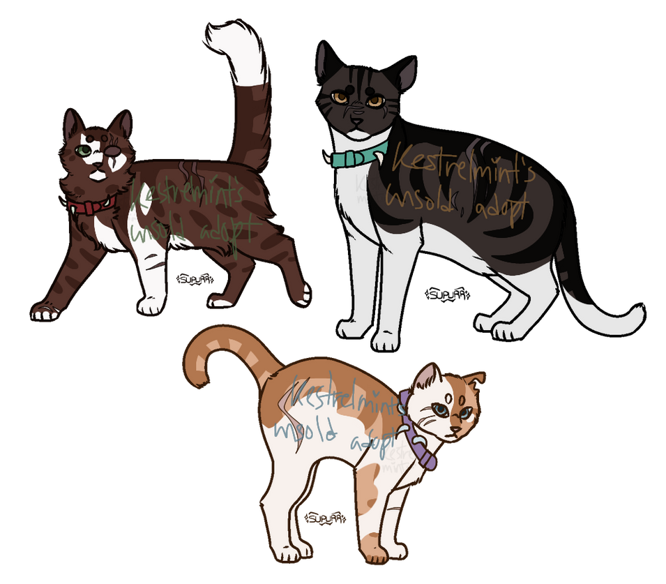 BloodClan Adoptables By Kestrelmint On DeviantArt bloodclan-adoptables-by-kestrelmint-on-deviantart