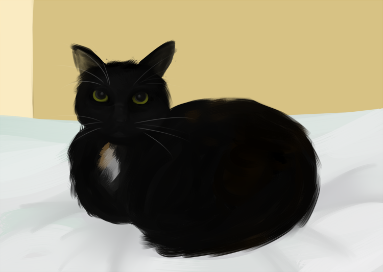 Kitkat by silhouette345