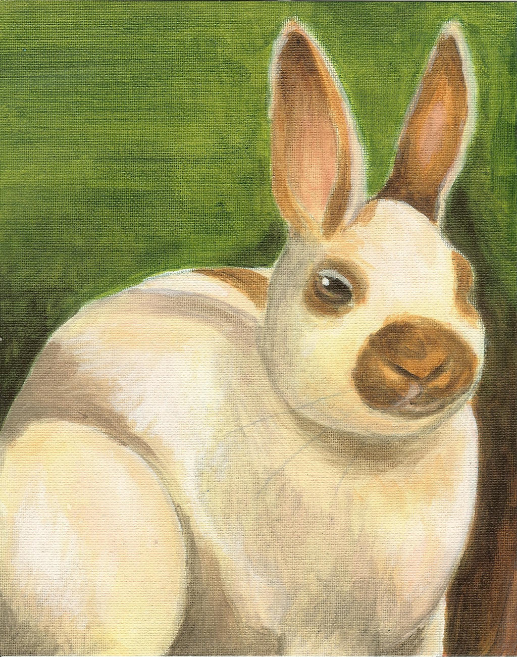 Flury Rabbit The Fluffy Rabbit by unicorn-chicken on DeviantArt