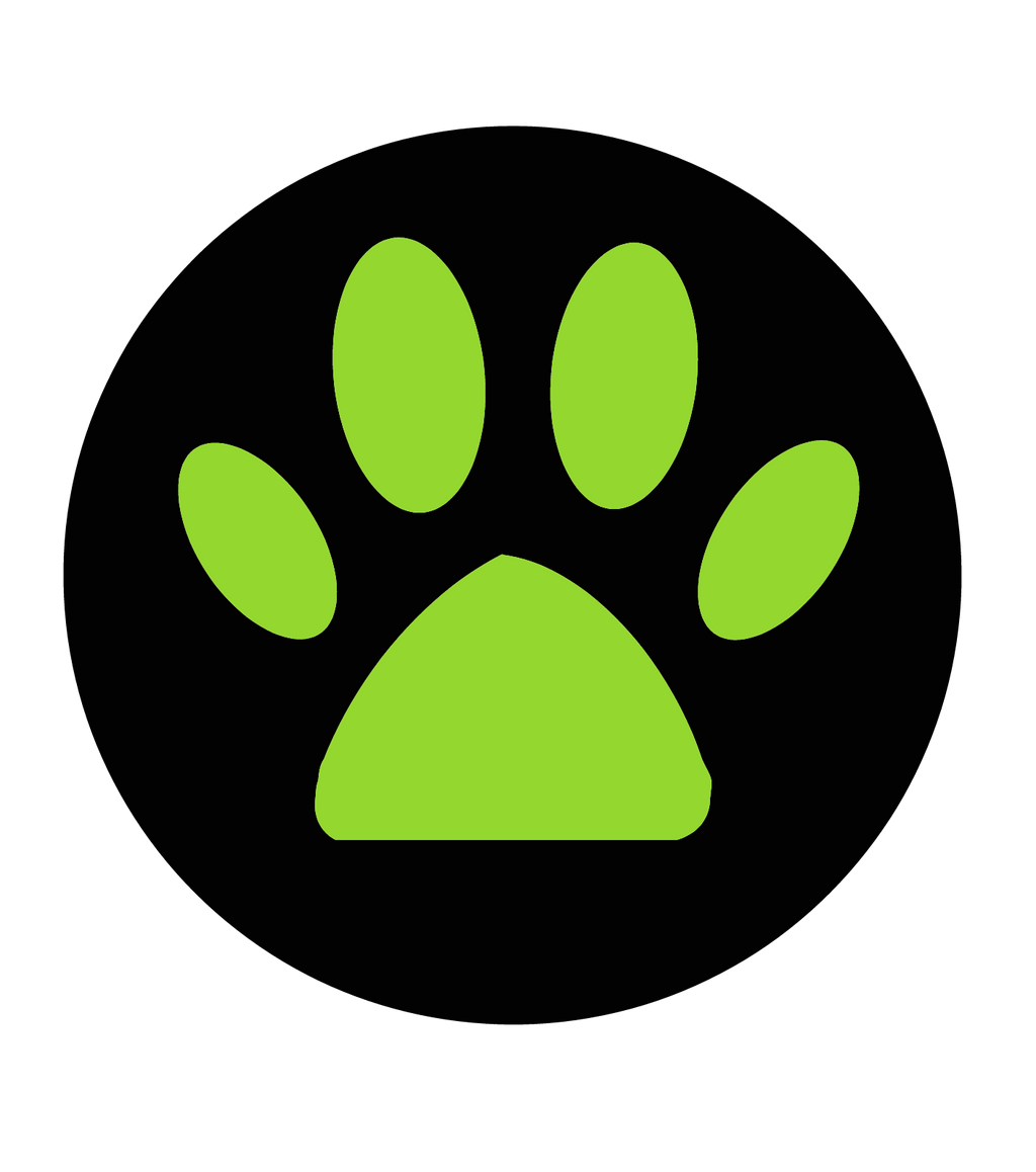 Cat Noir Symbol By Davidscrazy2345 On Deviantart Cat Noir Symbol By Davidscrazy2345 On Deviantart
