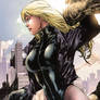 Black-Canary-art-by-Ed-Benes Source - dailydoseco