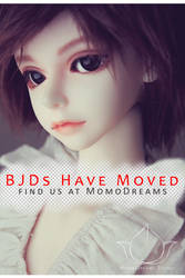 BJDs Are Moving