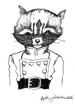 Rocket Raccoon