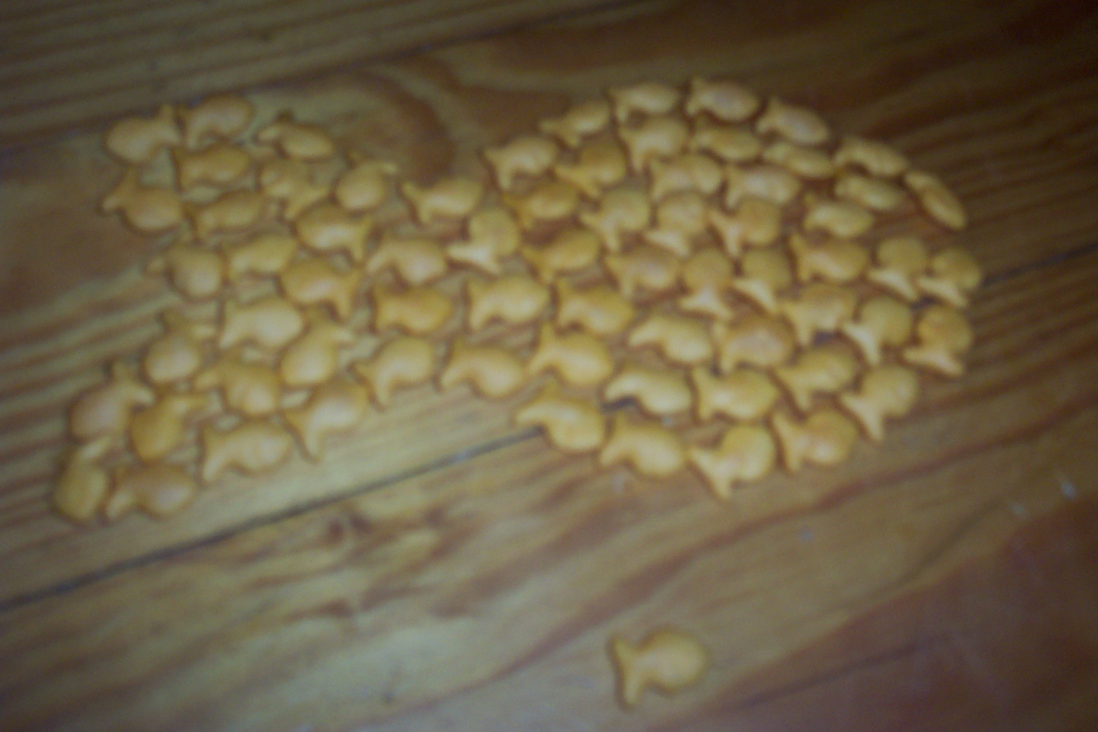 Goldfish