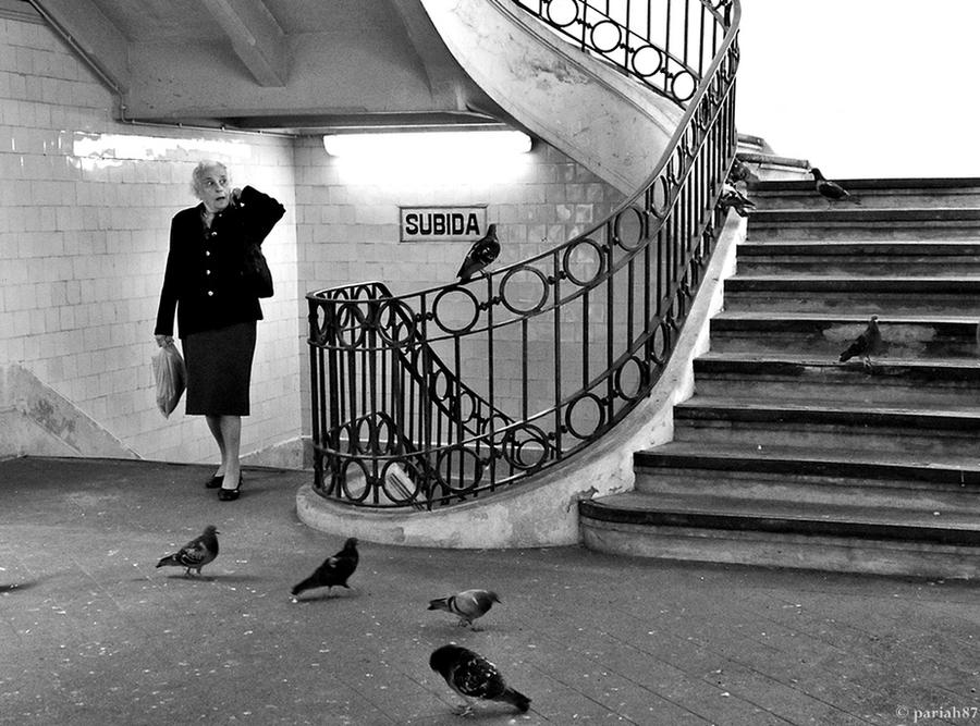 The Birds II by pariah87 The Birds II by pariah87