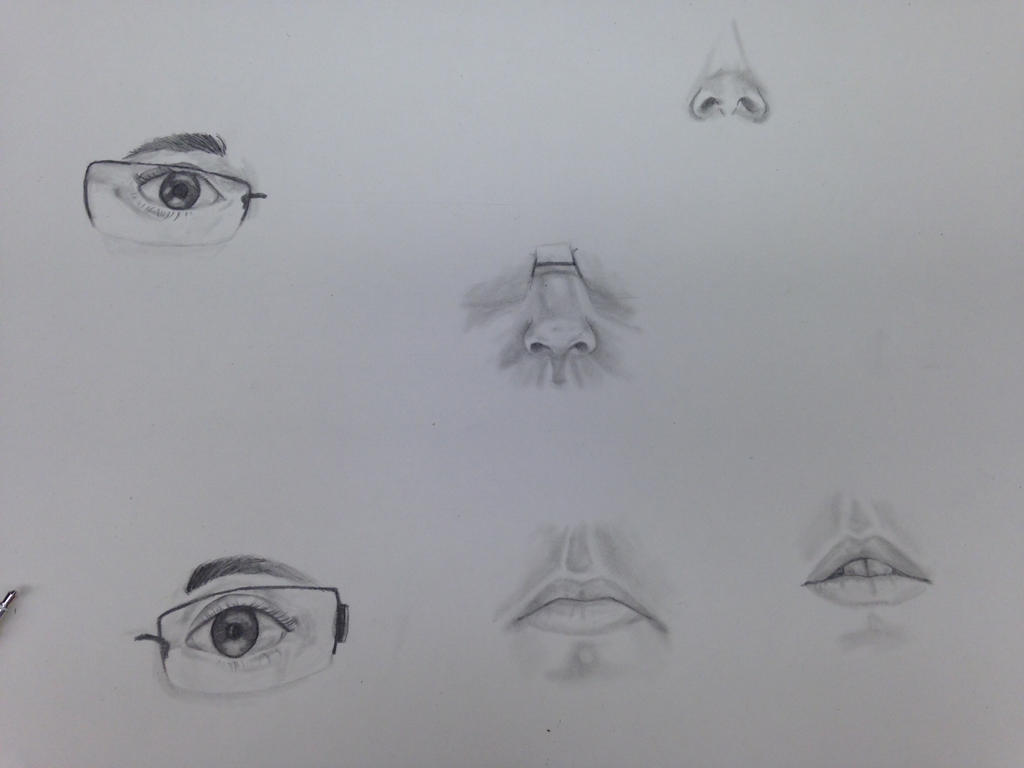 Facial features - Drawing class by hungaryoak on DeviantArt