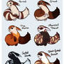 Furret Variations