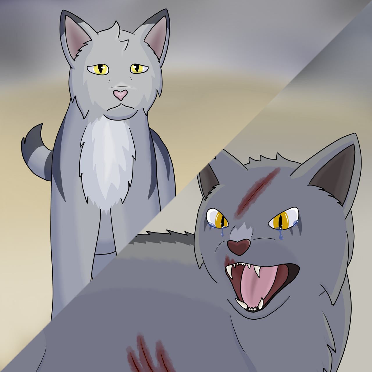Confrontation