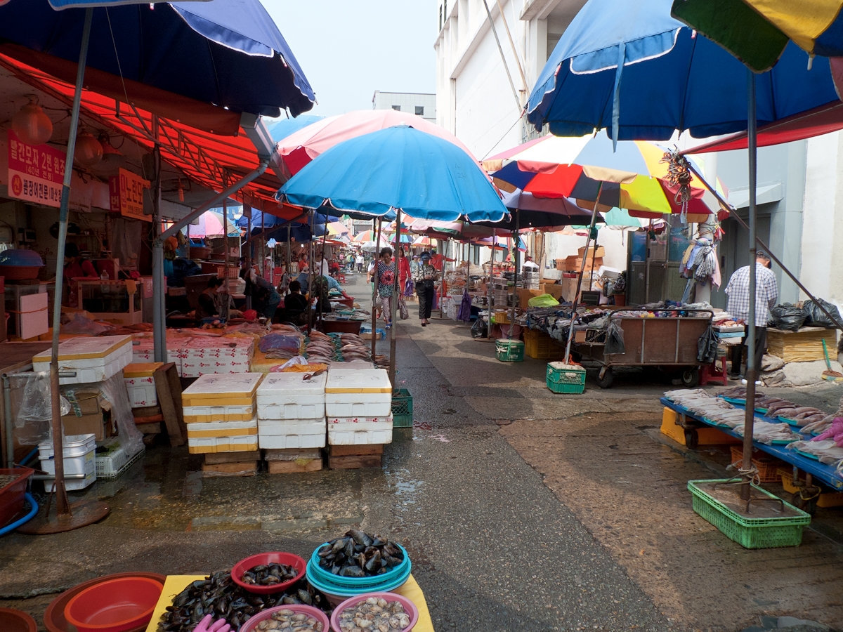 Jagalchi Fish Market