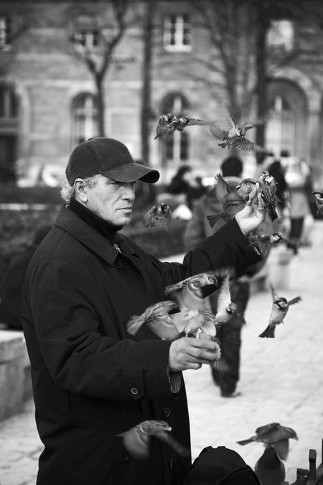 On the streets of Paris V