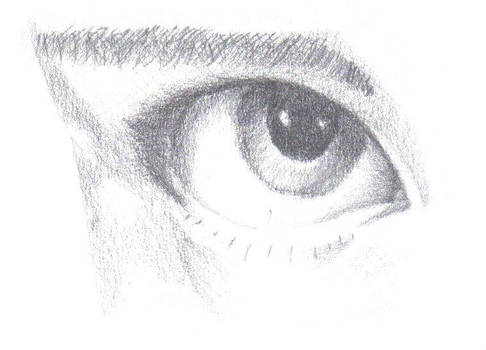 Eye