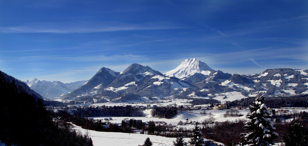 Winter in Switzerland 1