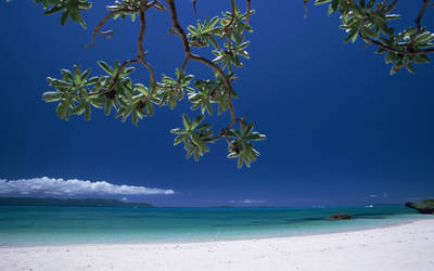 Okinawa beach 2