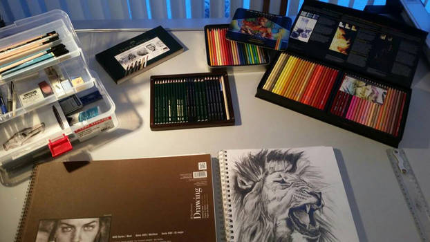 some my art supplies 