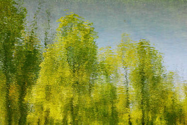 Reflections on a Windy Pond 1