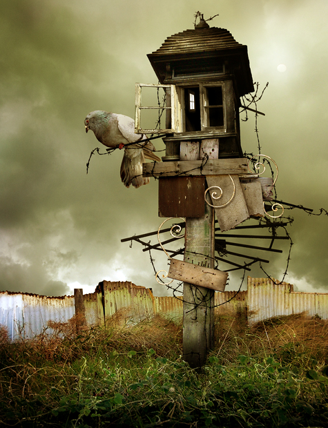 Bird House