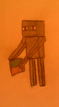 The Lonly Enderman