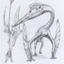 Ranphorinchus and Quetzalcoatlus