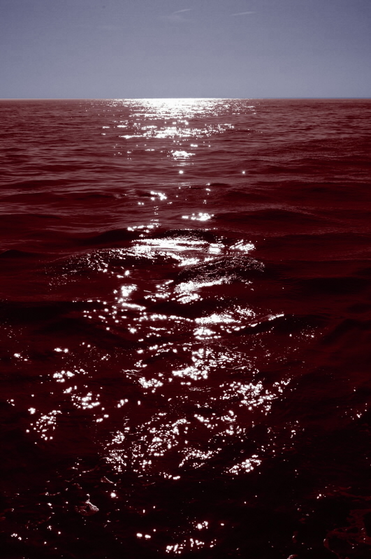 Blood In Ocean Blood Ocean by true-imperfection on DeviantArt
