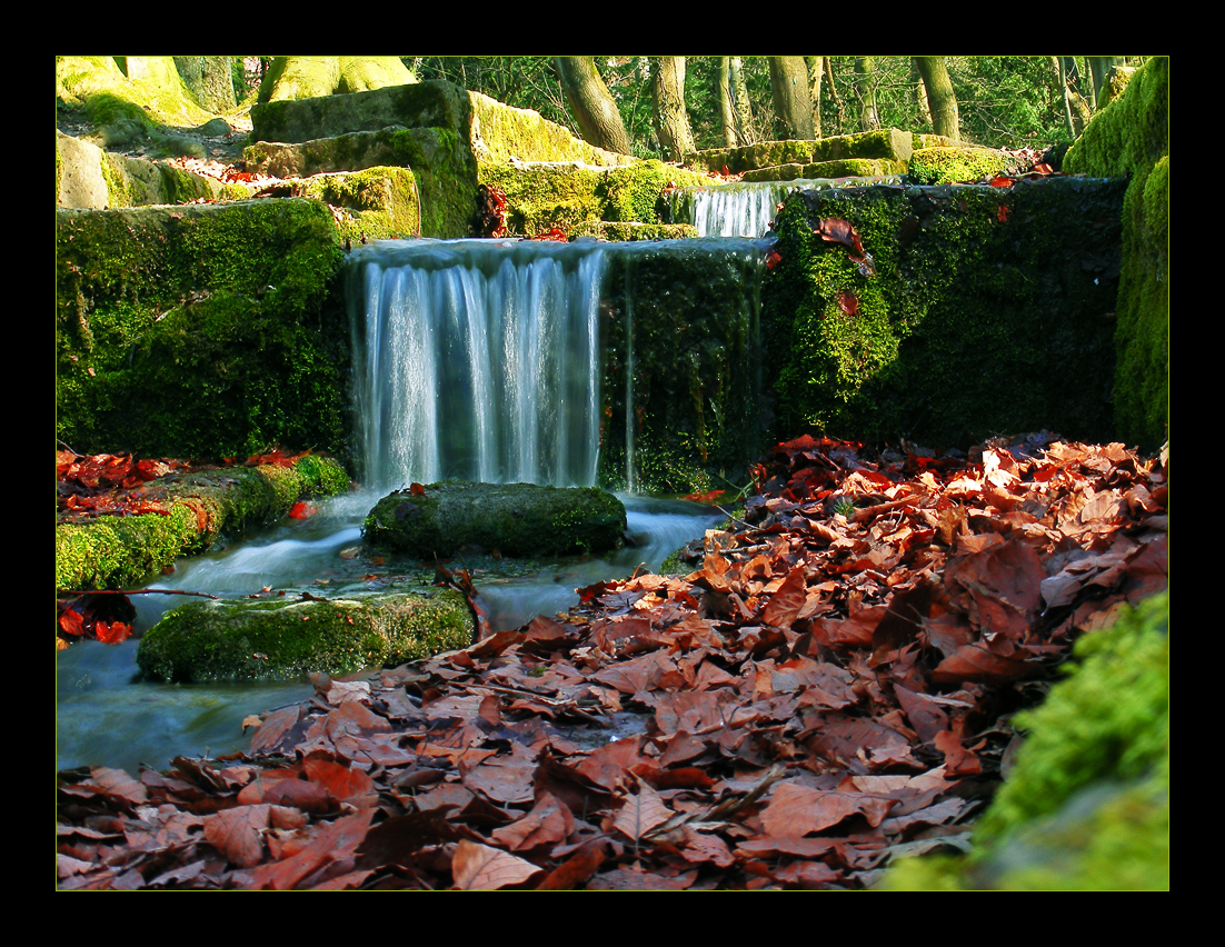 Water steps