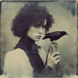 The Ravens Secret _ Das Rabengeheimnis