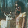 Voices of the Wild _ Lied von Wald und Wiese