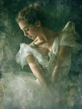 Softember _ Swan Lake Elegy dedicated to Ryder