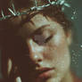 Where the Glass Thorns Bloom