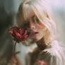 Roses of Another Summer