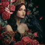 Softember _ Princess, Excess