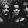 The Last Sirens