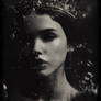 The Last Sirens