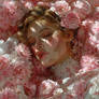Roses of Another Summer
