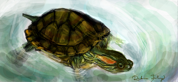 Fantastical Facebook Turtle